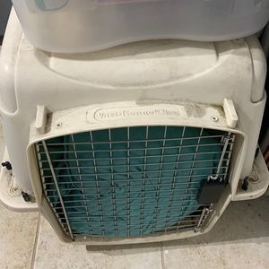 Nice basket for animals